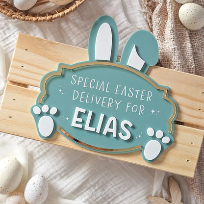 Easter Bunny Acrylic Crate Plaque